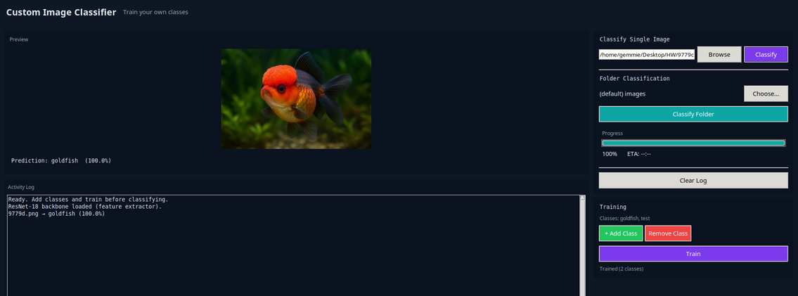 Custom image classifier interface preview